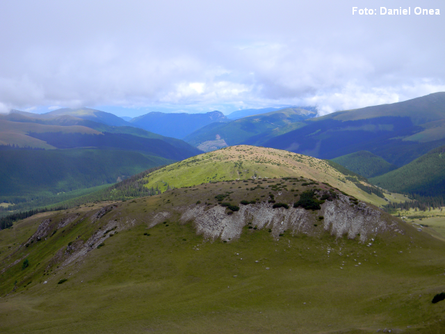 transalpina-daniel-onea.png