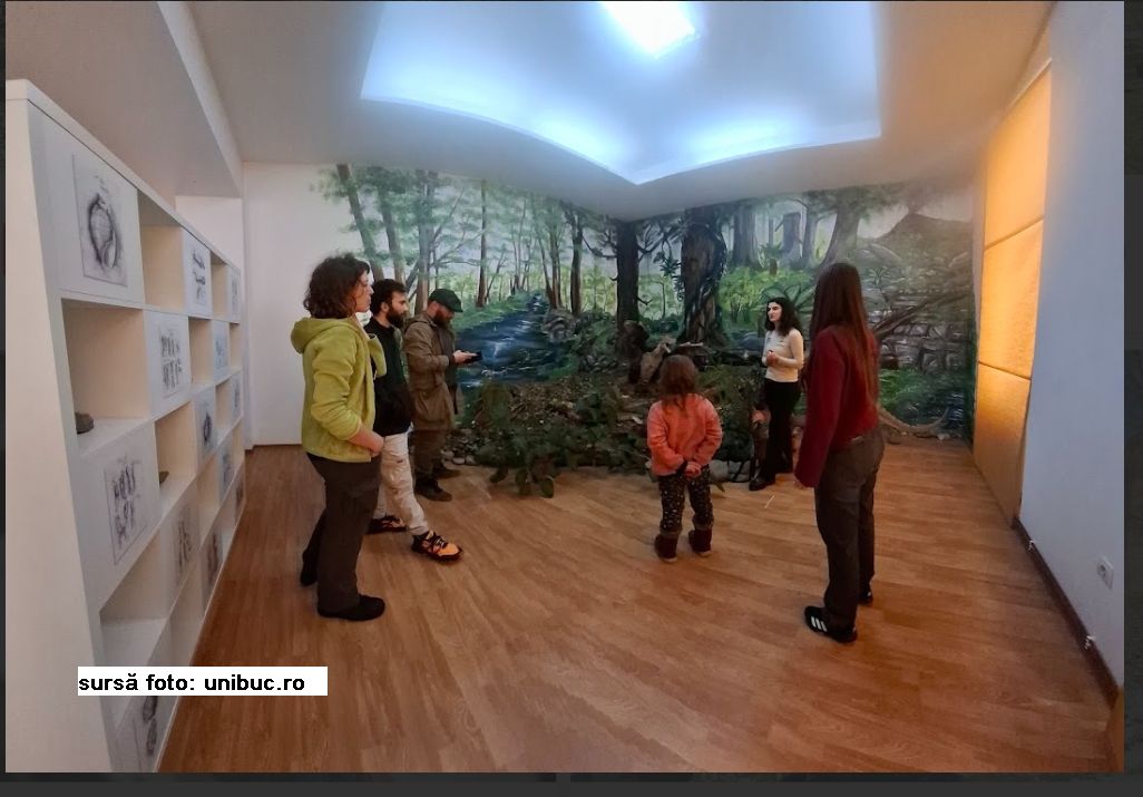 sursă foto: unibuc.ro