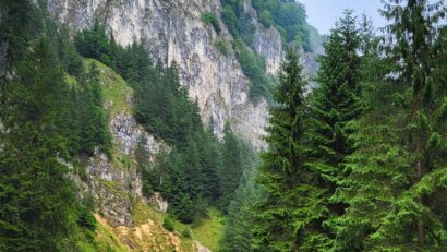 Dâmbovicioara, paradisul verde