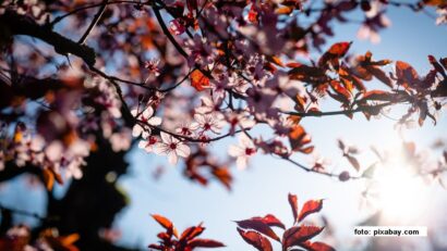 La miscelánea: Rumanía en el mes de mayo