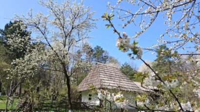 Muzeul Satului Bucovinean