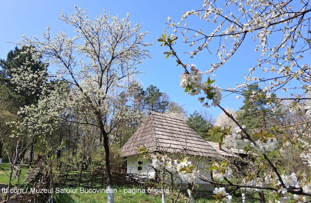 Sursa foto: fb.com / Muzeul Satului Bucovinean - pagina oficiala