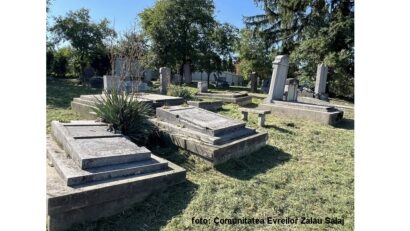 נקיון תקופתי בבית הקברות היהודי בזלאו