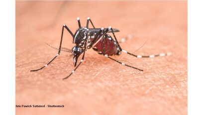 A holnap Európája – Tudjuk-e kezelni az éghajlatváltozás hatását az egészségünkre?