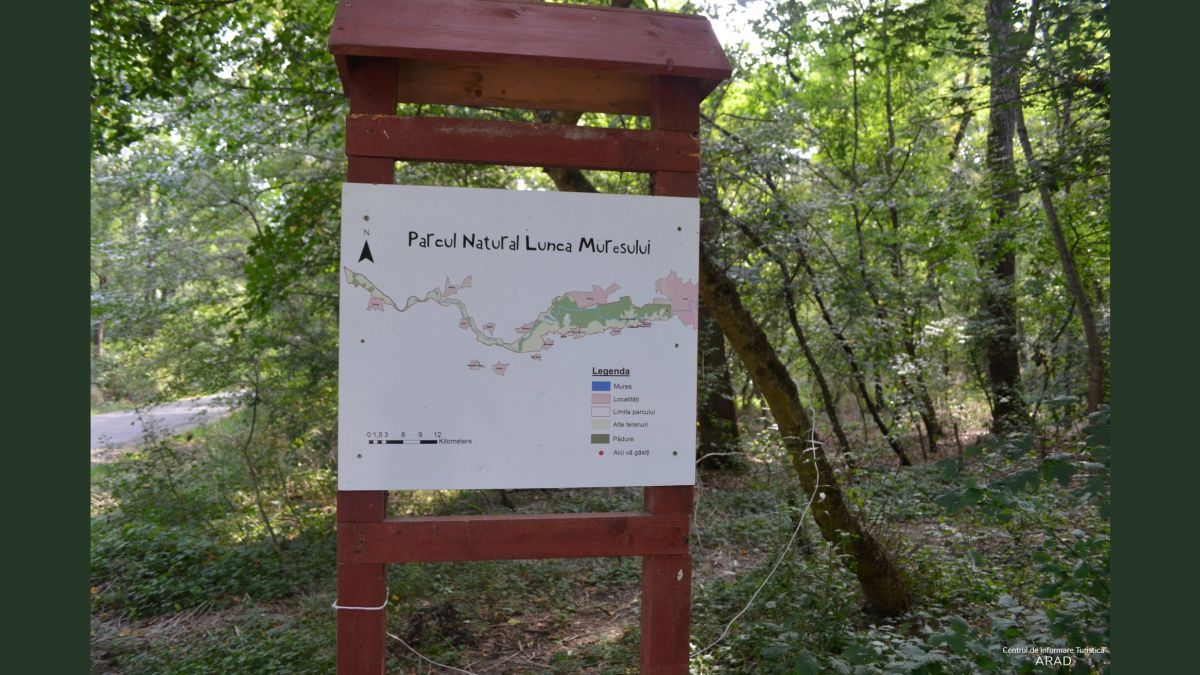 Parcul Natural Lunca Mureșului (Sursa foto: Centrul Național de Informare și Promovare Turistică al Județului Arad)