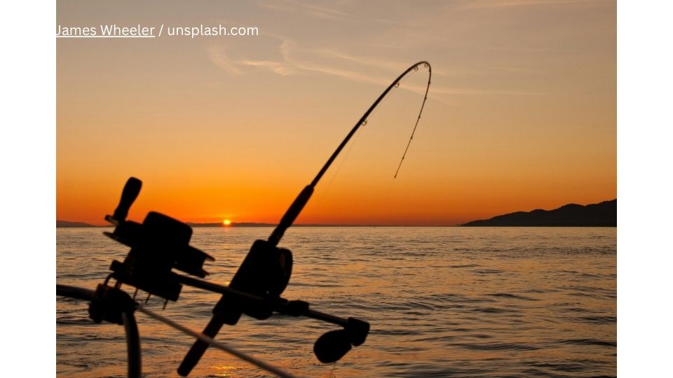 Foto: James Wheeler unsplash.com