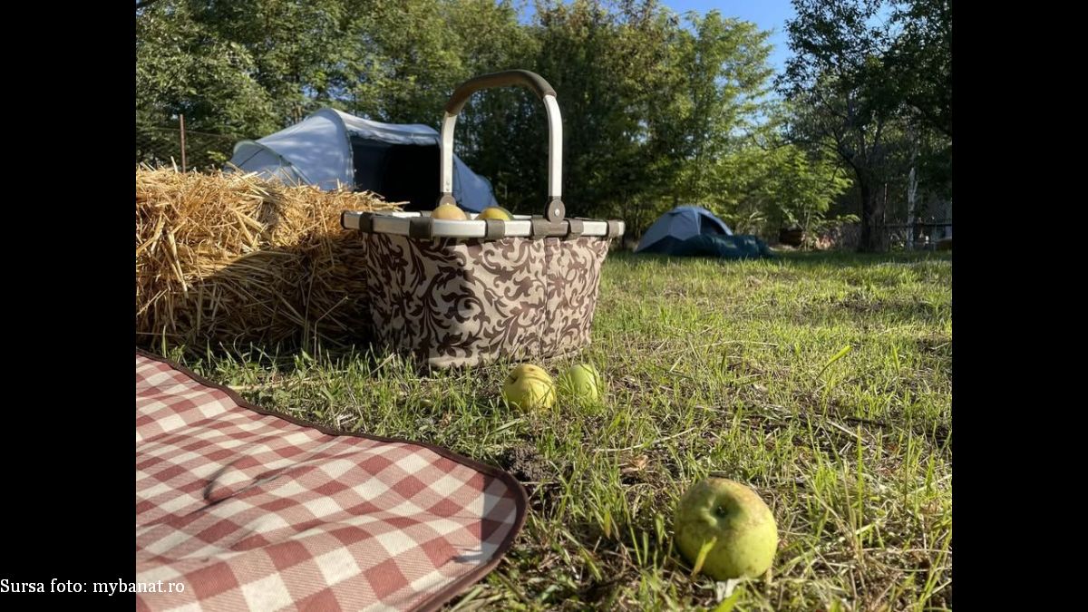 Picnic în Pusta Banatului (Sursa foto: mybanat.ro)