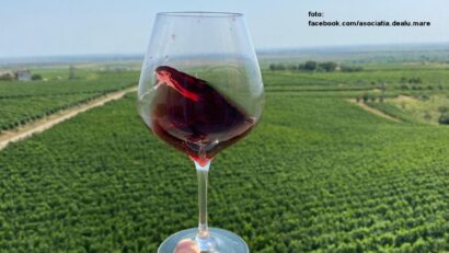 Ținutul Vinului, Prahova