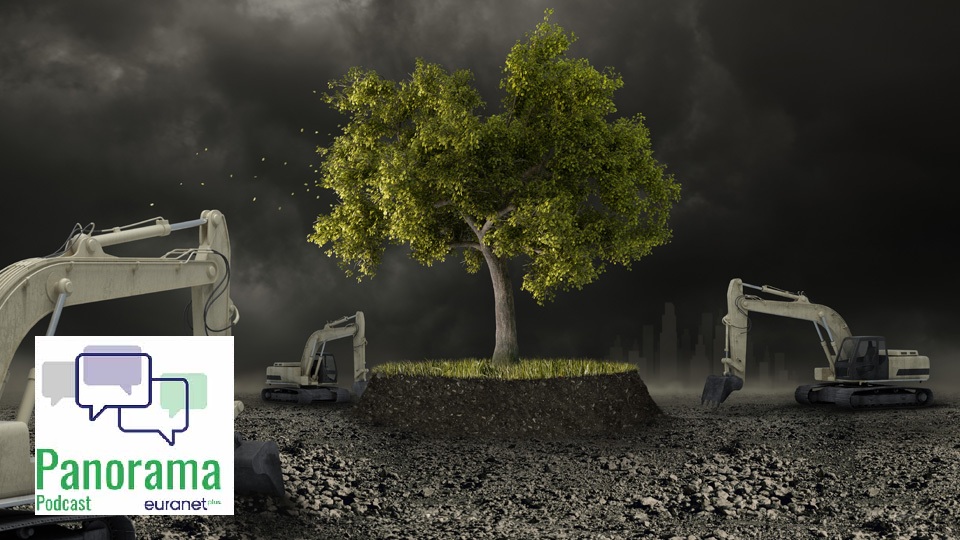 Green shoots or grey clouds: what next for the climate? (photo © Giordano Aita - Shutterstock)